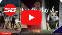 How to play video