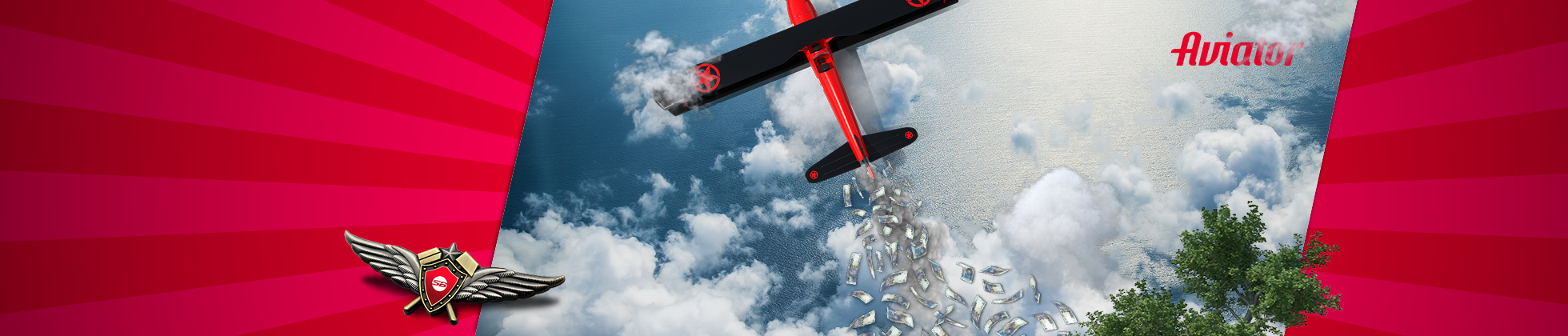 Aviator header image