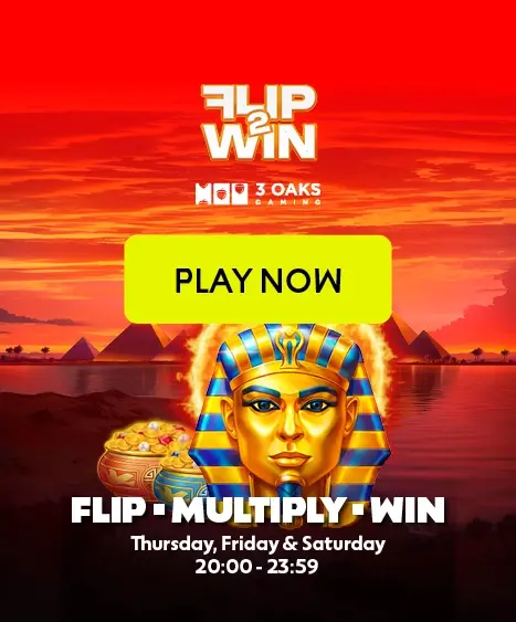 26_2432_FLIP TO WIN_467 x 563