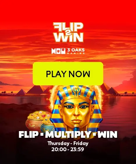 26_2432_FLIP TO WIN_467 x 563 (3)