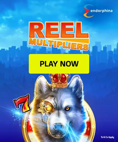 26_2522_REEL MULTIPLIER_467 x 563 copy (3)